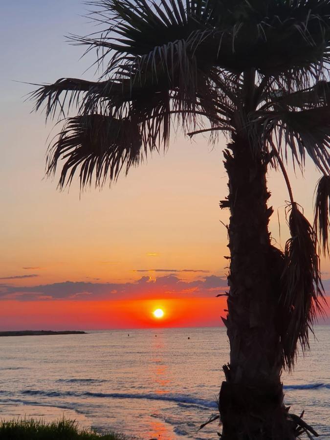 Gemuetliche Ferienwohnung In Torrevieja Ca100M Vom Strand Playa Del Cura Entfernt Экстерьер фото