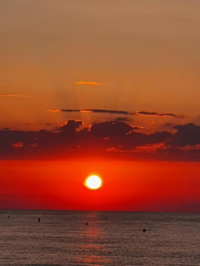 Gemuetliche Ferienwohnung In Torrevieja Ca100M Vom Strand Playa Del Cura Entfernt Экстерьер фото